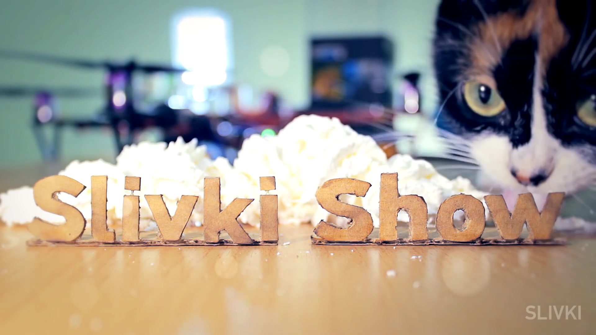 Включить сливки шоу. Куки кот сливки шоу. Slivki show фото. Мемы про сливки шоу.